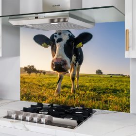 Holstein Cow Splashback
