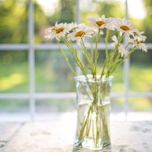 flower vase on kitchen worktop