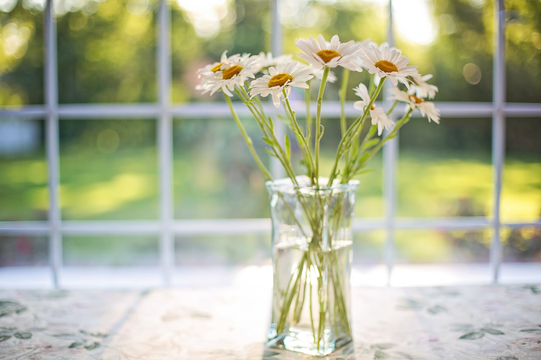 flower vase on kitchen worktop